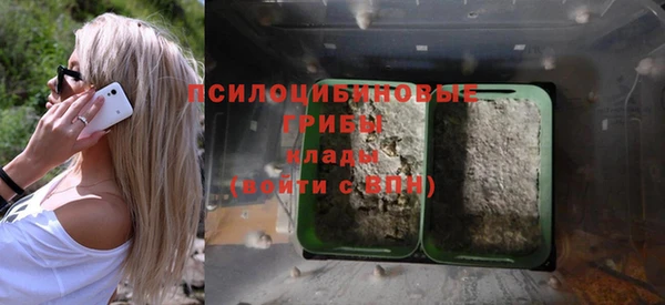 спайс Волоколамск