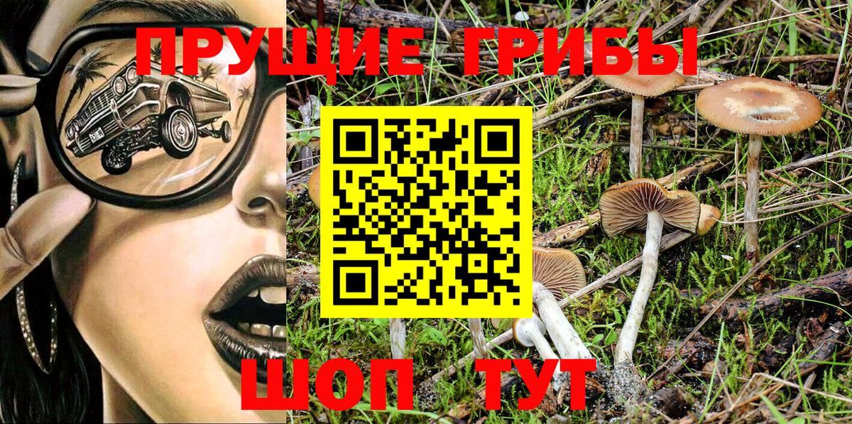 Псилоцибиновые грибы Psilocybe  Вход с VPN  Псилоцибиновые грибы прущие грибы  Ухта 